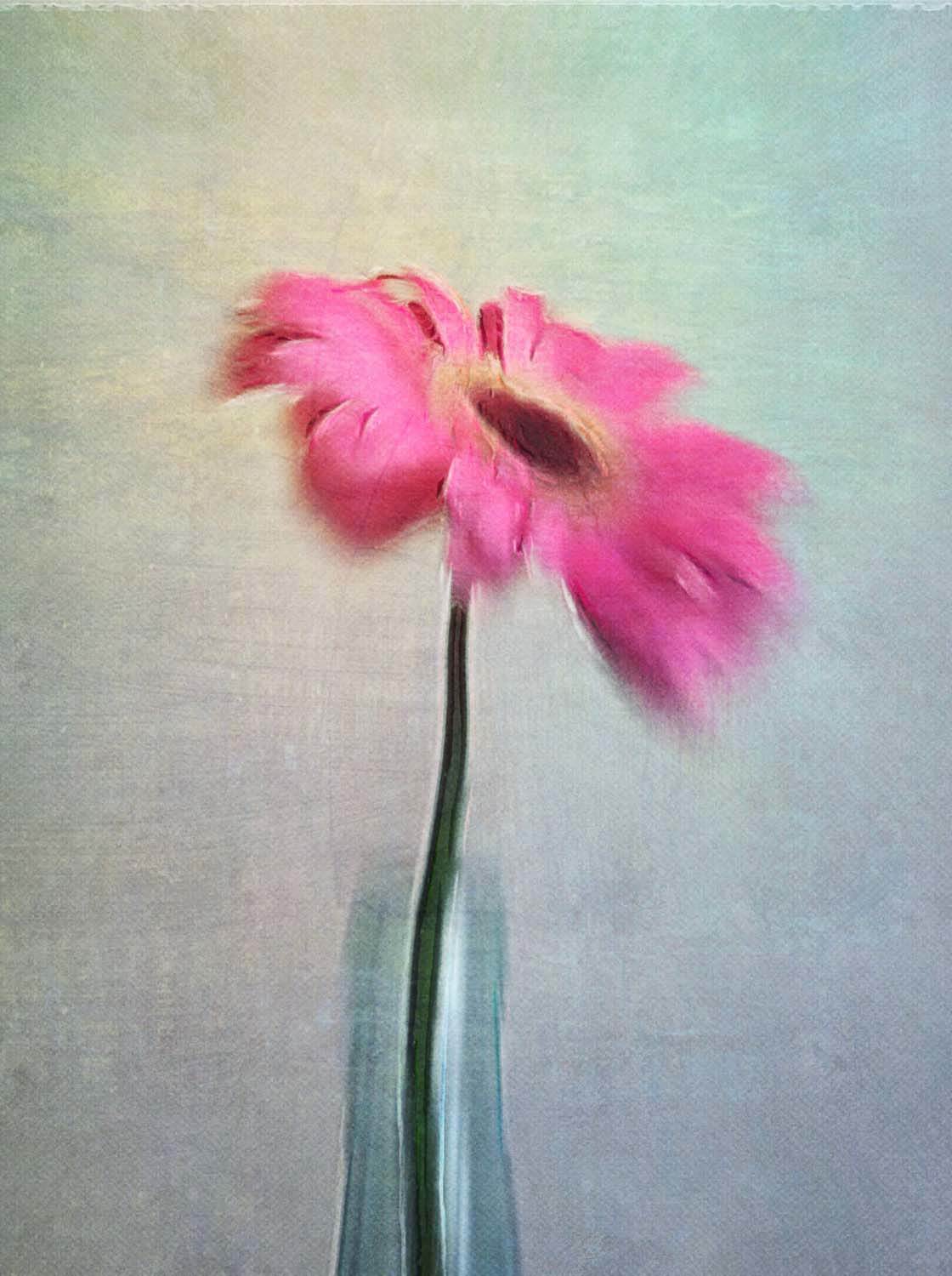 Floral Blur iPhone Photos 4