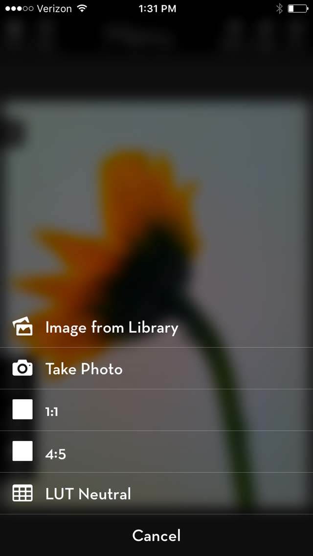 Floral Blur iPhone Photos 12
