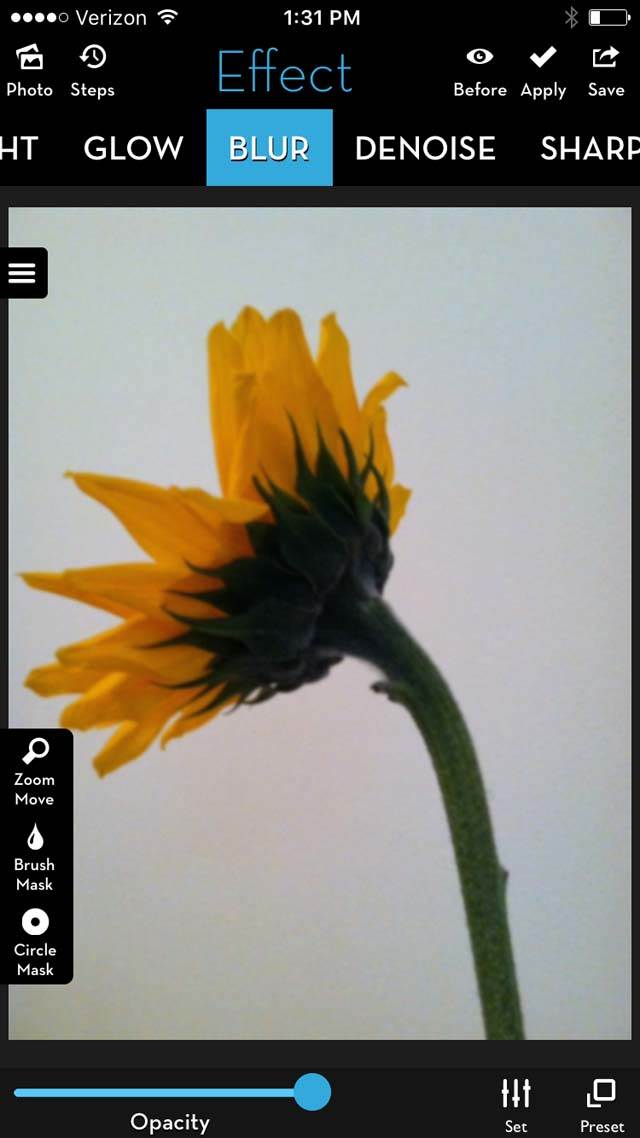 Floral Blur iPhone Photos 15