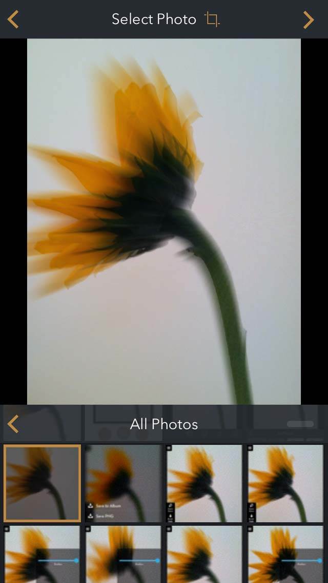 Floral Blur iPhone Photos 23