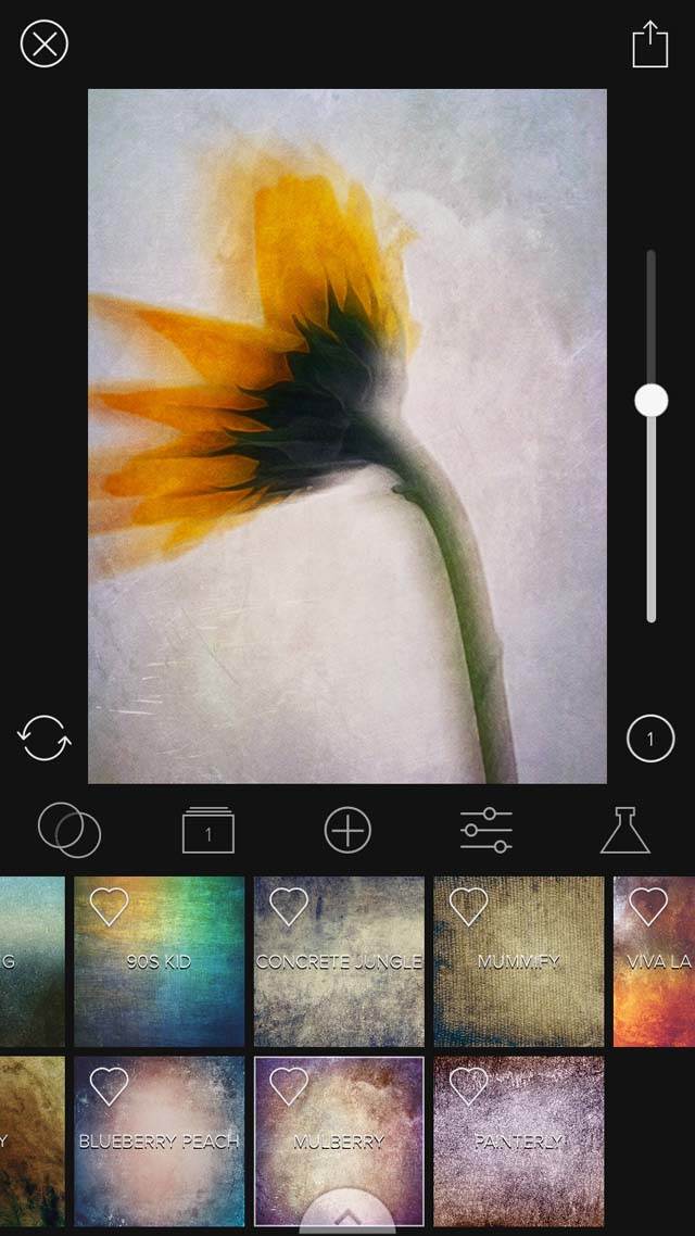 Floral Blur iPhone Photos 30