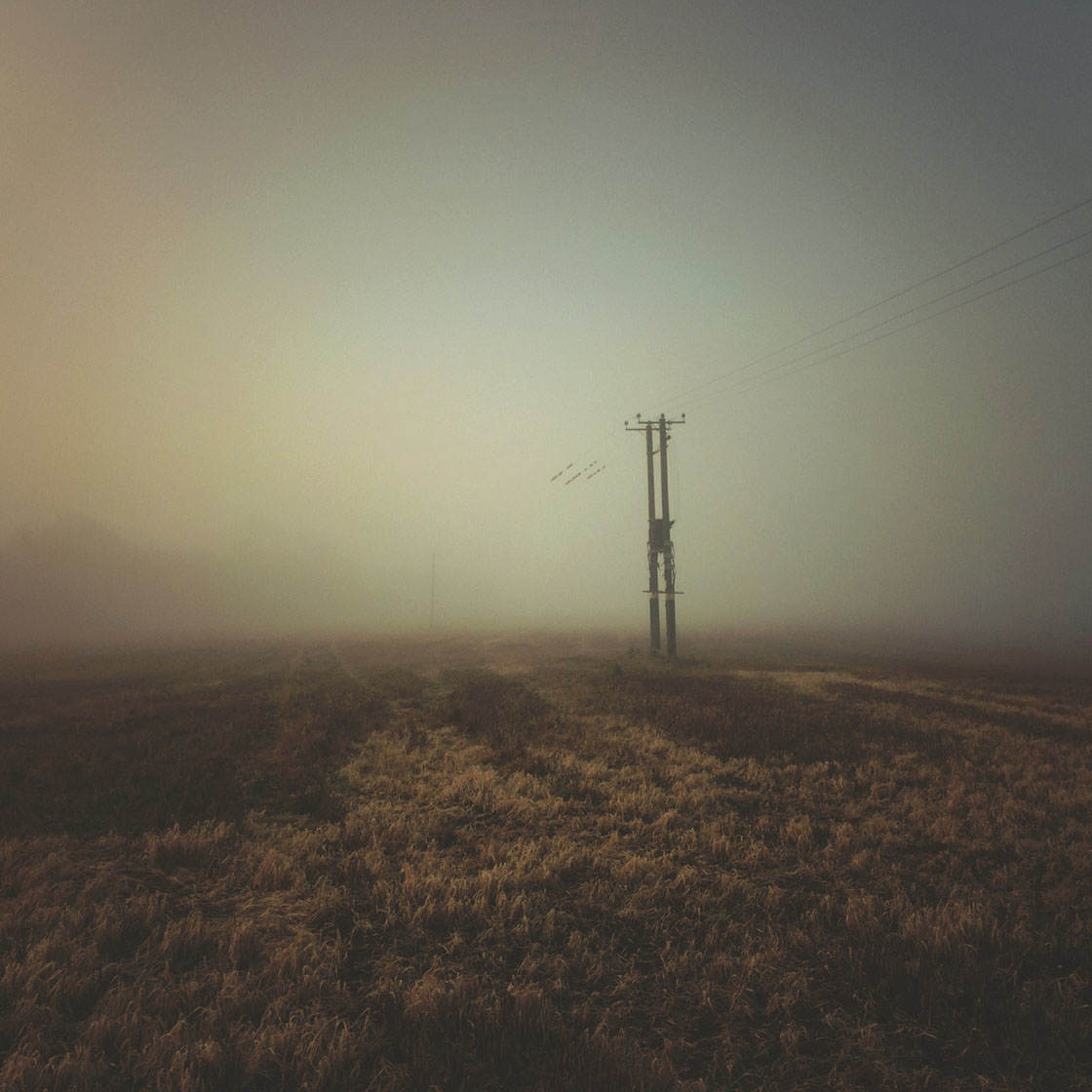 Fog & Mist iPhone Photos 42