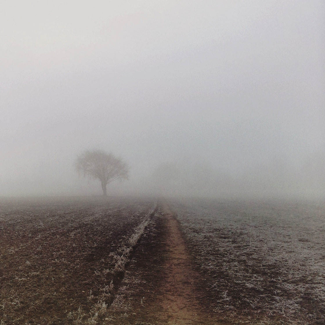 Fog & Mist iPhone Photos 21