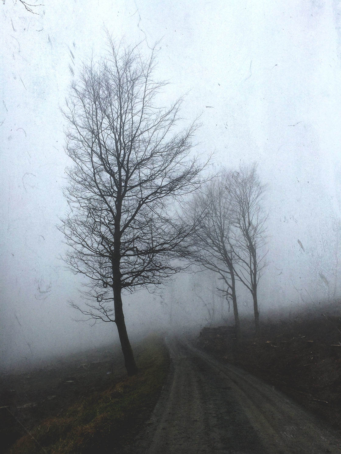 Fog & Mist iPhone Photos 31