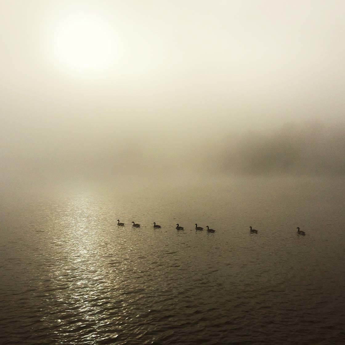 Туман iPhone Фото 24