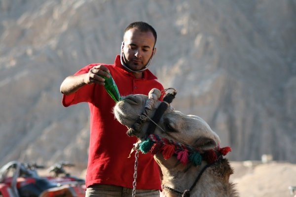 Мужчина в красной футболке кормит верблюда - Режимы съемки