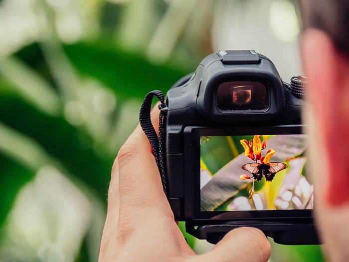 Close up of the man looking through DSLR camera and taking a photo of a flower