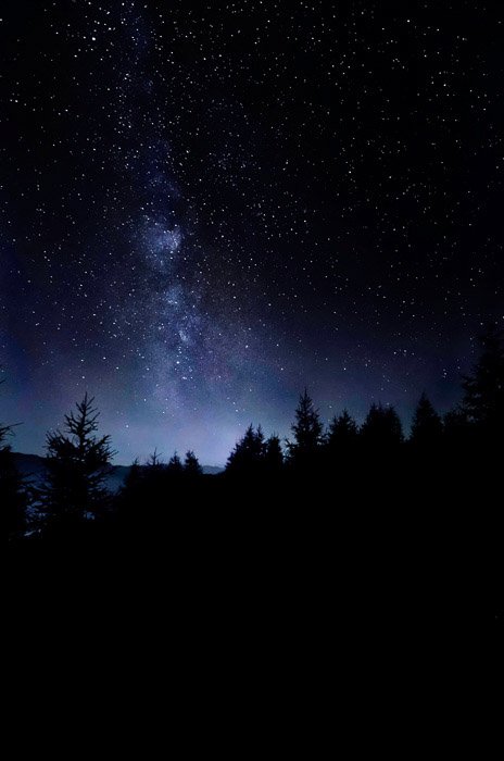 Атмосферный снимок звездного неба над ночным лесом