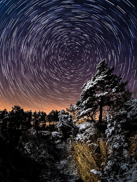 Сосна в Фондри-де-Шьенс (Бельгия). Звездные тропы получены с помощью настроек звездной фотографии при суммировании 60 снимков, каждый длительностью 30 секунд.