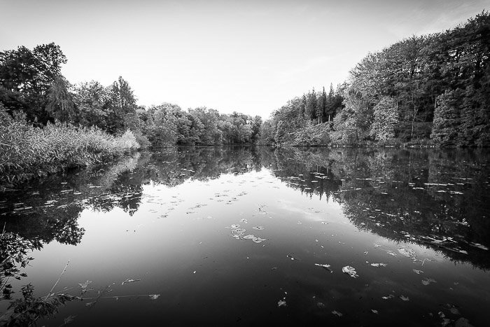 Черно-белая инфракрасная фотография пруда в Бельгии