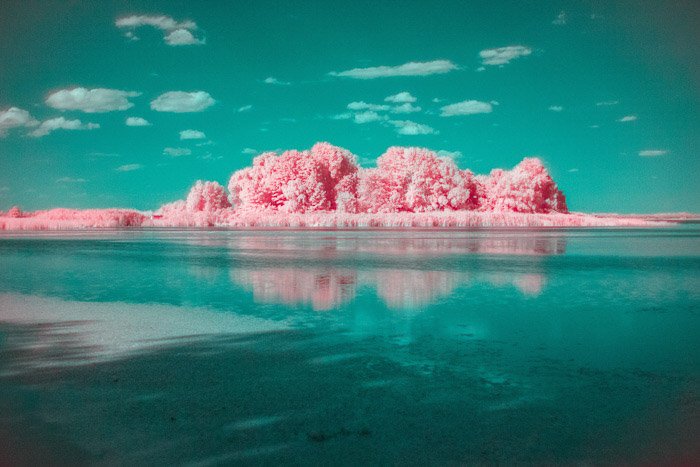 Привлекательный тилово-розовый пейзаж, снятый с помощью инфракрасной фотографии