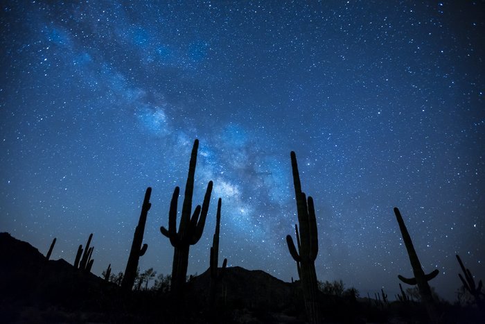 Потрясающий снимок астрофотографии звездного неба над силуэтами кактусов