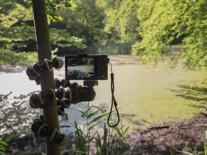 Штативы для пейзажной фотографии: Камера, установленная на Joby Gorillapod SLR Zoom, прикрученная к дереву