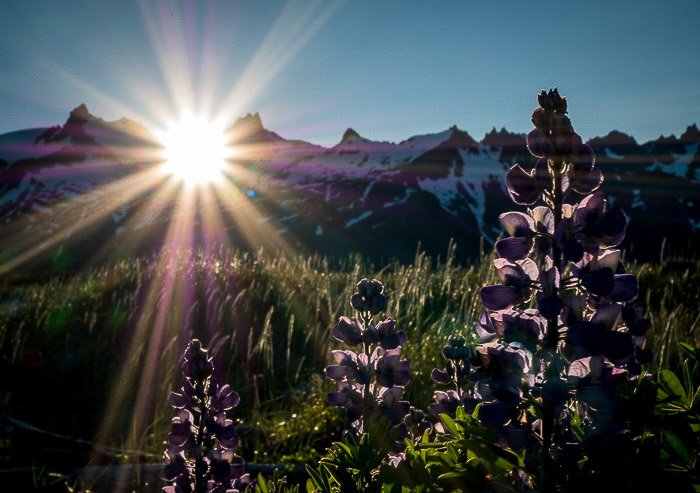 Потрясающие солнечные лучи, поражающие дикий национальный парк Аляски