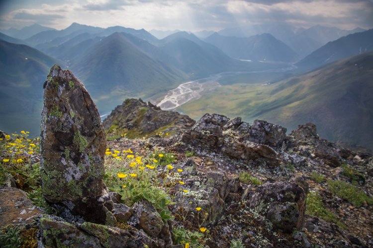 Скалистая вершина горы со скалами и желтыми цветами с видом на долину и другие горы