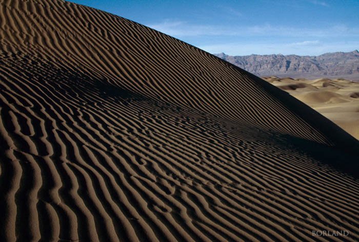 Фотография песчаной дюны