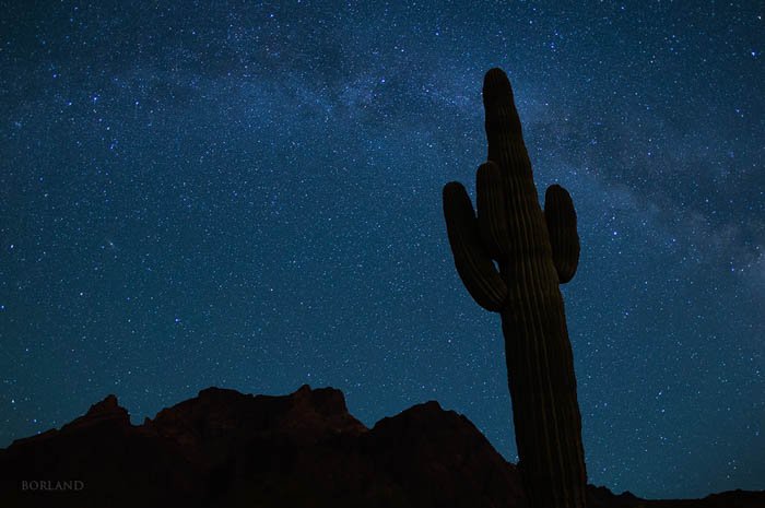 ночная фотография пустыни, показывающая силуэты гор и кактуса на фоне ночного звездного неба