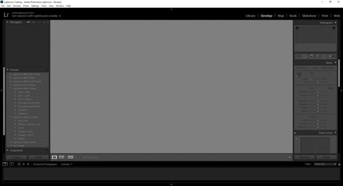 Скриншот интерфейса Adobe Lightroom
