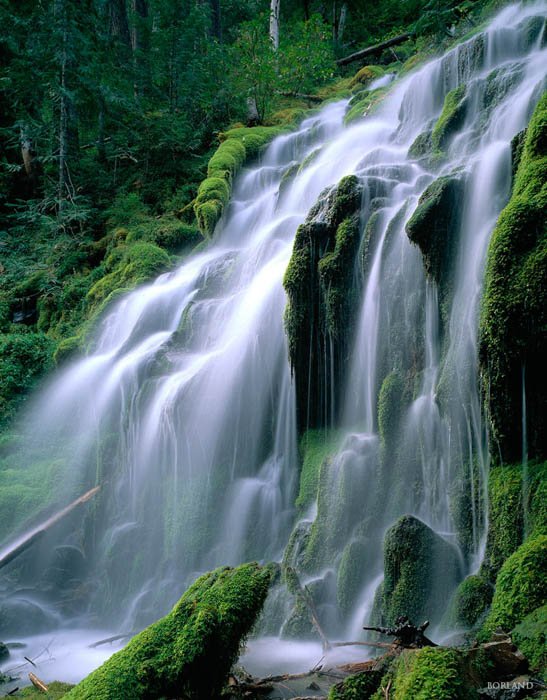 Водопад в джунглях - снято с длинной выдержкой