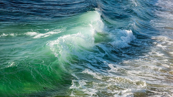 Свежая зеленая волна в море