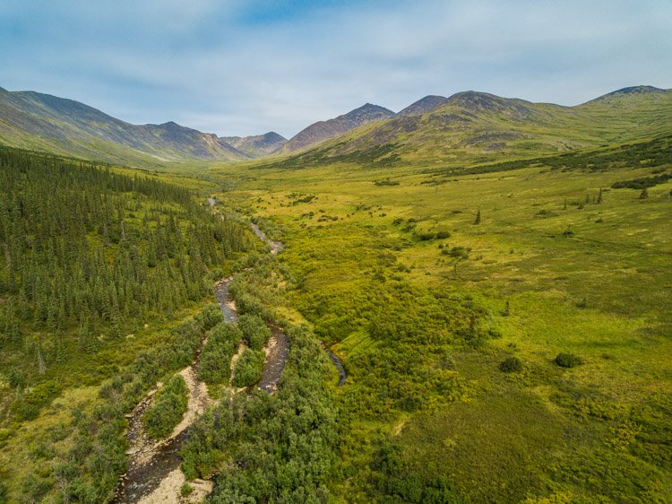 Вид с аэрофотосъемки на лес с зелеными деревьями и горы, снятый дроном