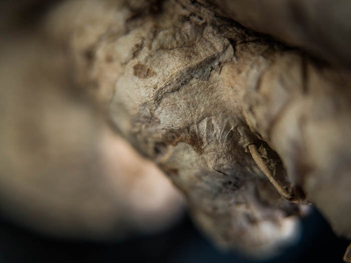 Closeup of the ginger root - Macro photography tips