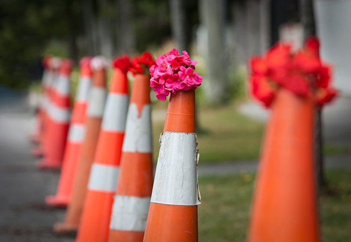 линия дорожных конусов, держащих на вершине букеты розовых и красных цветов