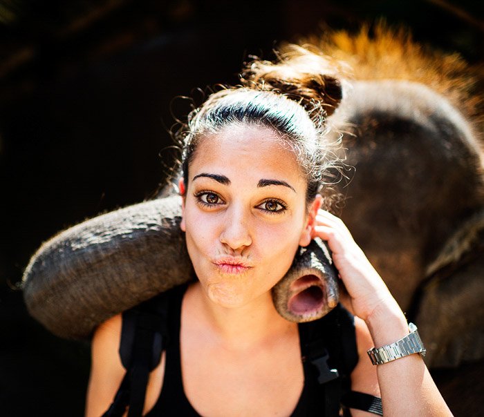 Девушка позирует для селфи со слоном
