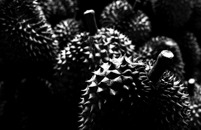  bold shadowy close up of durian fruits, 