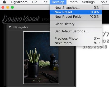 Скриншот сохранения пресетов в Adobe Lightroom.
