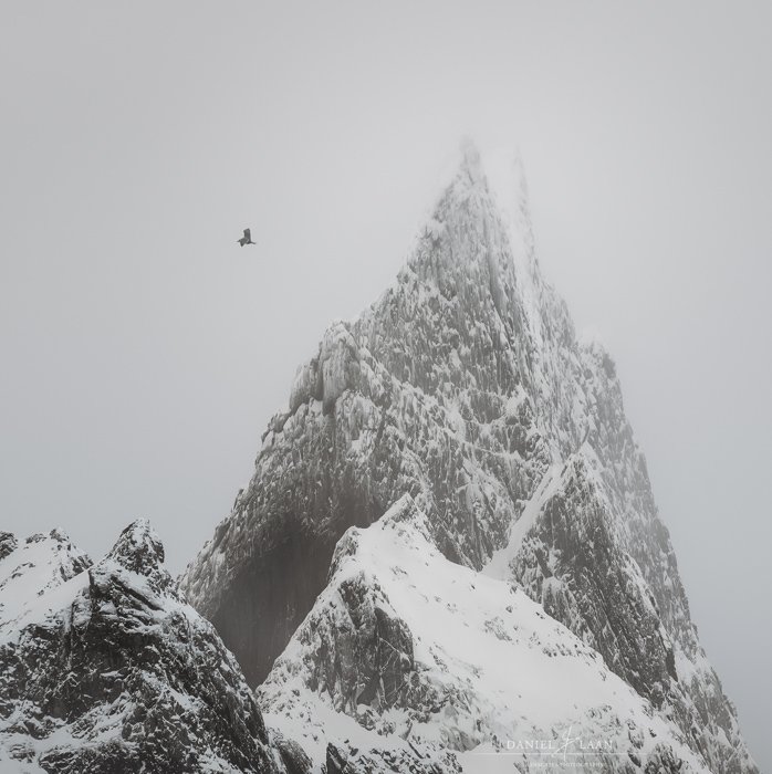 Художественная пейзажная фотография скалистой ледяной горы с пролетающей мимо птицей.
