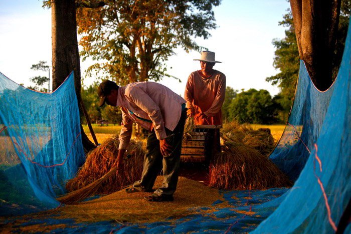 Путевая фотография двух фермеров, работающих в Лаосе. 