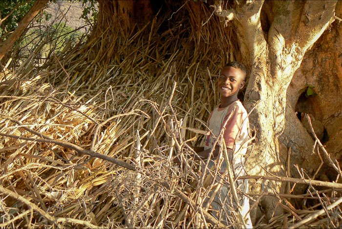 Портрет молодого фермера, стоящего перед деревом - найдите фиксатор для лучшей туристической фотографии