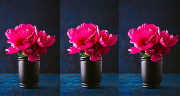 Триптих горшка с розовыми цветами, снятый в разных точках фокуса