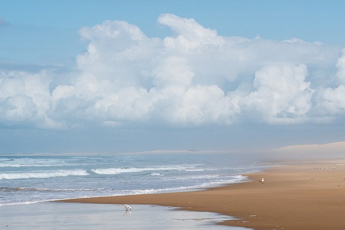 Яркая пляжная сцена с чайками, показывающая ощущение масштаба на фотографии.