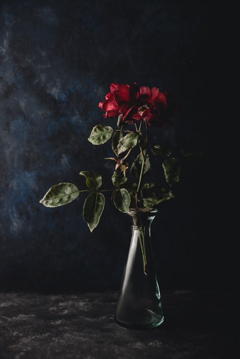 Темная и угрюмая цветочная фотография увядающих роз на темном фоне