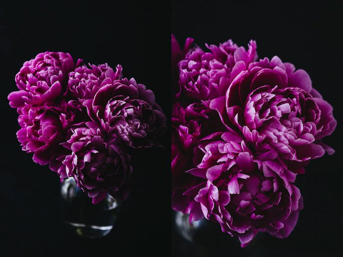 Темный и атмосферный диптих цветочной фотографии