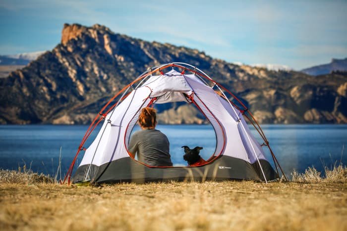 Милый и безмятежный снимок женщины и собаки в палатке, смотрящих на морской пейзаж и горы впереди