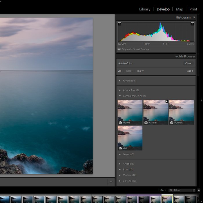 Скриншот новых профилей камеры в Adobe Lightroom для редактирования фотографий путешествий. 