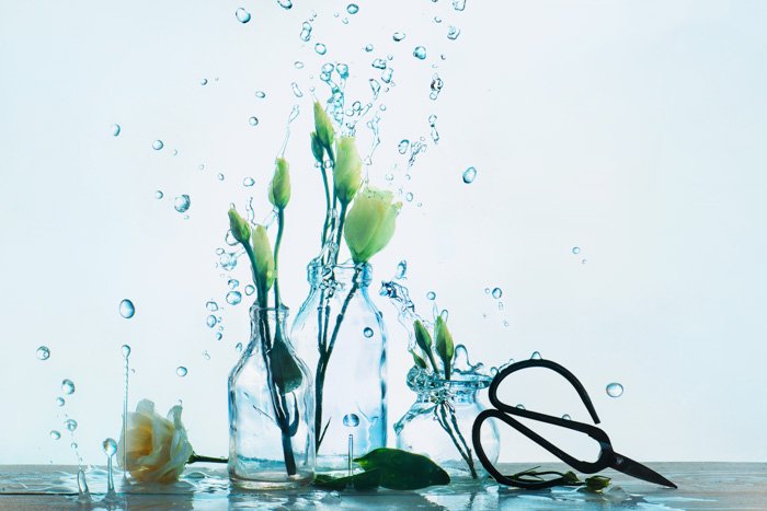 креативная фуд-съемка с цветочными вазами и брызгами воды на белом фоне