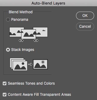 Screenshot of how to auto-blend layers on Photoshop for macro photography