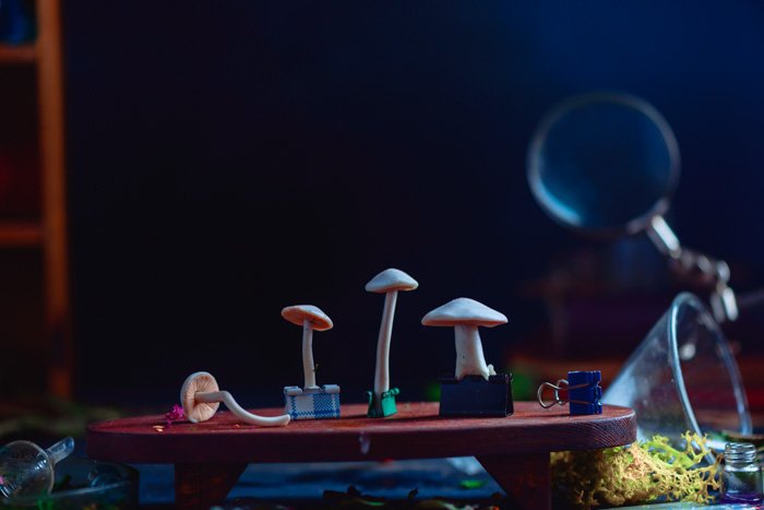 Маленькие грибы, вырезанные на крошечном красном столике для натюрмортной дымовой фотосессии