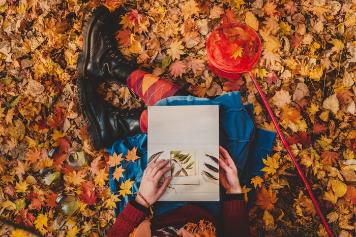Драматический снимок сверху человека, читающего книгу, сидящего среди осенних листьев