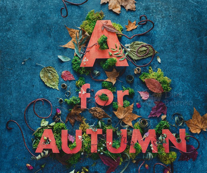 креативные альтернативные фоны для фотографий: Красные буквы в окружении цветов и листьев на синем фоне