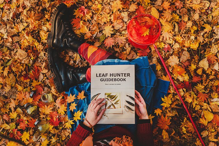 вид сверху. девушка сидит в куче опавших оранжевых листьев осенью, рядом с ней красный сачок для ловли бабочек, в руках книга: Leaf Hunter Guidebook