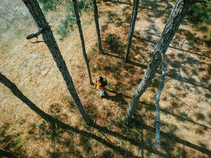 Overhead shot of the man walking through the forest - shadow photography
