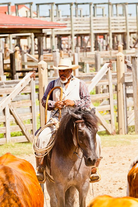 мужчина в ковбойской шляпе верхом на лошади