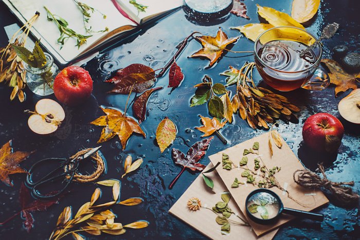 Стол с чайной чашкой, осенними листьями, яблоками и открытым блокнотом с травами. Темная фотография еды. Натюрморт с дождем.