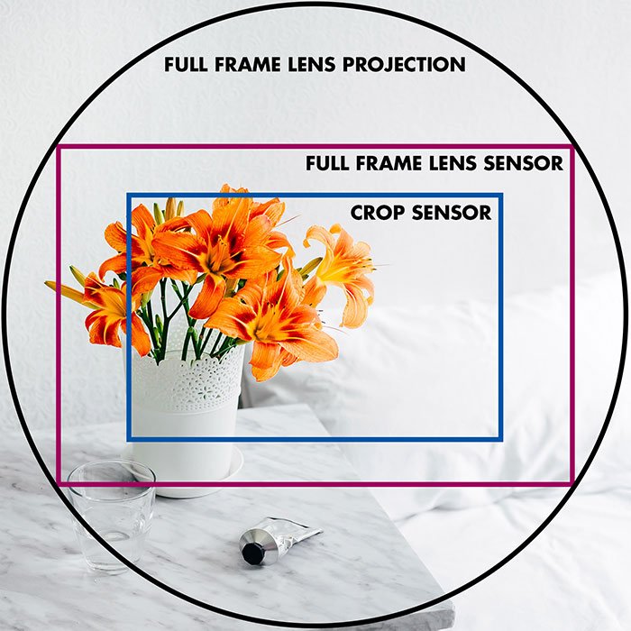 Изображение оранжевых цветов и текст, иллюстрирующий кадрирование полнокадрового и кроп-сенсора в проекции полнокадрового объектива с использованием круга и прямоугольников