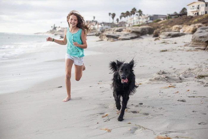 Милые семейные пляжные фотографии, на которых молодая девушка бежит по пляжу с собакой